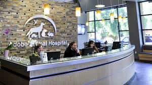 Hours may change under current circumstances Adobe Animal Hospital South Bay Construction