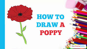 Poppy flower drawing for kids. How To Draw A Poppy In A Few Easy Steps Drawing Tutorial For Kids And Beginners Youtube
