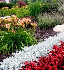 Welcome To Michigan Unexpected Waves Of Heat Followed By Frosty Mornings Humidity And Rain Will Keep You On Annual Flowers Annual Plants Annual Flower Beds