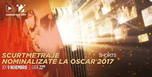 Am vazut deja care sunt nominalizarile la premiile oscar 2017 , dar am aflat si cateva detalii interesante despre celebrul eveniment. Scurtmetraje Nominalizate La Oscar 2017 Tiff