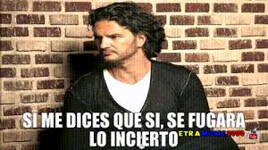 See more ideas about ricardo arjona, arjona, cuban music. Yarn Si Me Dices Que Si Se Fugara Lo Incierto Ricardo Arjona Dime Que No Letra Video Gifs By Quotes 99fd7d51 ç´—