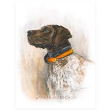 Checking 'include nearby areas' will expand your search. What S On The Horizon German Shorthair Pointer German Shorthaired Pointer German Shorthair Pointer Puppies