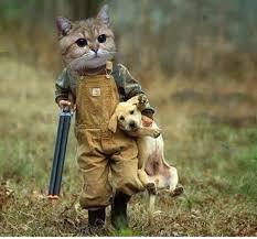 Funny Cat As A Hunter Carrying His Cute Dog Funny Cats And Dogs Funny Cat Pictures Funny Animals