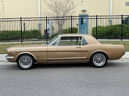 Image result for Champagne Beige 1965 Mustang