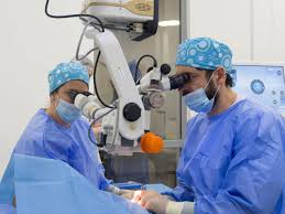 Check spelling or type a new query. Clinica Vedis