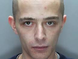 Man who killed mum and sister, dog killer and sick paedophile among those  locked up in June