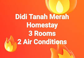 Potonglah bagian akar dari bawang merah, kemudian menanam bawang merah dengan menggunakan metode hidroponik adalah cara terbaik apabila anda tidak mempunyai lahan yang cukup di rumah. Didi Tanah Merah Homestay Tanah Merah Booking Com