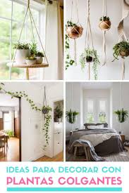 Ideas para decorar con plantas colgantes. Plantas Colgantes Para Decorar El Hogar Maceteros Colgantes