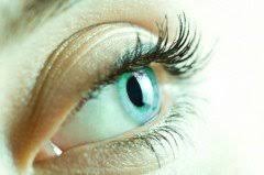 Je ne supporte pas la vue des«yeux» qui se promènent dans mon café. Vous Avez Les Yeux Rouges Ou La Paupiere Qui Tremble