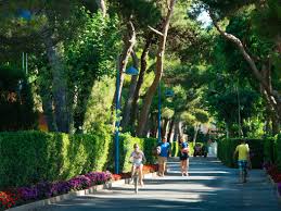 Posez vos valises dans un camping à canet en roussillon et découvrez en famille ses longues plages de entre les activités sur la plage, les animations traditionnelles et les vestiges historiques qui. Canet Plage Le Brasilia French Campsites