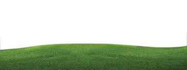 Hari ini ada terutama banyak dari mereka. Good Day Background Padang Rumput Png 1280x486 Png Clipart Download