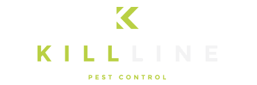 It was the site of a major attack on the city's jewish community in 1190. Domestic Pest Control Household Pest Control Kill Line