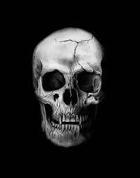 Skulldeadcome skull drawing draw pen art dead head gothic skull art skull tattoo design vampire skull. Vampire Skull Vampire Skull Skull Sketch Skulls Drawing
