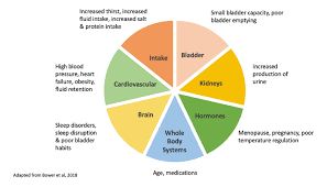 Image result for Nocturia