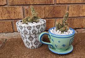 Contact your local fish and wildlife service or department of agriculture for permits if they're available. How To Turn Your Disney Mug Into A Disney Planter Wdw Magazine