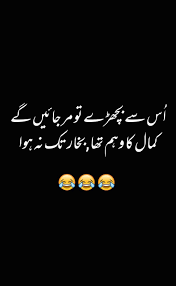 pin by barbie on joke funny quotes in urdu urdu funny quotes urdu funny poetry