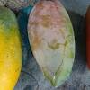 Hal tersebut karena inodnesia merupakan daerah yang cocok untuk membudidayakan buah tropis ini. Https Encrypted Tbn0 Gstatic Com Images Q Tbn And9gctygykxbrtajmctbzxmsf4 K5zykc9nb1tw0ar6knt1gdx H F4 Usqp Cau