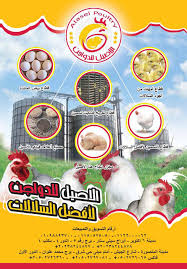 شركة الاصيل للدواجن