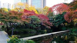 koishikawa korakuen gardens