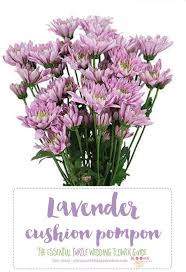 Looking For Purple Wedding Flower Names With Pics From Dark Purple Flowers To Light Purple Flowers Purple Wedding Flowers Wedding Flower Guide Purple Wedding