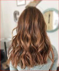 Google Image Result For Https Popshopdjs Com Wp Content Uploads 2019 07 Fall Hair Color For Brunettes Bala In 2020 Brunette Hair Color Butterscotch Hair Caramel Hair