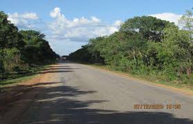 Image result for Kotschya carsonii