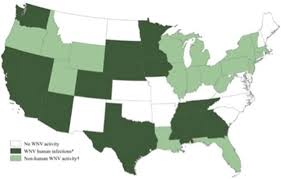 The virus is believed to have entered in an infected bird or mosquito, although there is no clear evidence. Mosquitoes Symptoms Of Mosquito Bites And West Nile Virus Pestworld