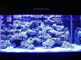 The more you know, the more you know, you don't know. Pin On Aquascaping Ideas