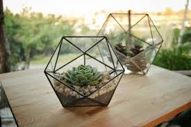Geometric Glass Terrarium Handmade Glass Terrarium Indoor Planter Glass Box Gifts For Gardeners H Geometric Terrarium Glass Terrarium Terrarium Containers