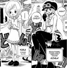 Koalas Png Photo By Spam286 Photobucket Koala One Piece One Piece Comic One Piece Manga