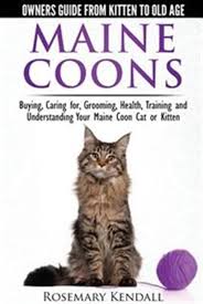 We are committed to producing healthy, friendly, beautiful maine coon cats that make wonderful companions. Maine Coon Cats The Owners Guide From Kitten To Old Age Buying Caring For Grooming Health T Livre De Rosemary Kendall Couverture Souple Www Chapters Indigo Ca