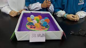 We did not find results for: Idea P P Sains Projek Model Sel Haiwan Dan Sel Tumbuhan