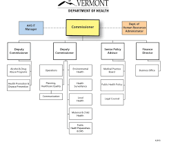 Medical Staff Organizational Chart Related Keywords