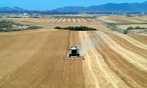 Resultado de imagen de Campo de trigo+Castilla León