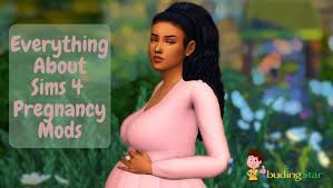 The sims 4 slice of life mod is applicable to each and every sim, and this includes the npc ones as well. In Depth Knowledge About Sims 4 Pregnancy Mods By Budding Stars