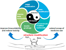 All plant species also respond to environmental. Advance Of Structural Modification Of Nucleosides Scaffold Scienceopen