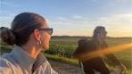 Deel 2 | Chasing sunsets, den hoorn Texel 🐑🌳🧡 Wat is Texel ... - TikTok