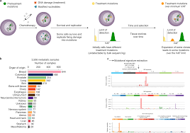 The Mutational Footprints Of Cancer Therapies Nature Genetics