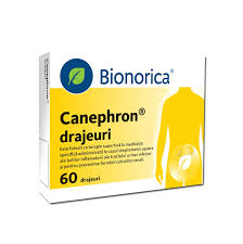 Incontinenta urinara reprezinta pierderea involuntara de urina. Canephron Forte 30 Drajeuri Bionorica Farmacia Tei