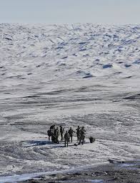 Image result for Lichtbeige 1981 KIP