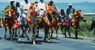 Oromo Horse Men Oromo Horse Men Slideshow Availability Calendar For Ethiopian Tour And Sight Seeing Horses Abyssinian Horse Breeds