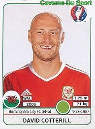 197 DAVID COTTERILL WALES BIRMINGHAM CITY.FC STICKER EURO 2016 PANINI