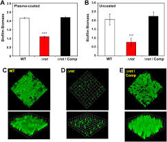 Molecular Microbiology