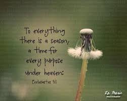Ecclesiastes 3 1 Good One To Hold On To In Times Of Uncertainty Scripture Art Print Scripture Art Scripture