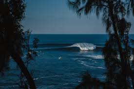 Surfline Com Global Surf Reports Surf Forecasts Live