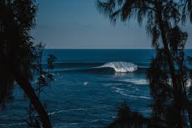 surfline com global surf reports surf forecasts live