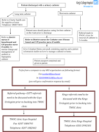 Impact Of The Lack Of Community Urinary Catheter Care