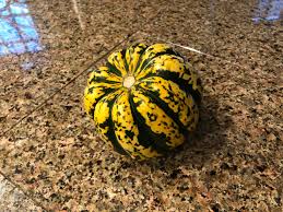 Image result for carnival acorn squash