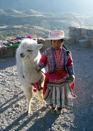 Little Girl With A Llama Posing For Photos For Change Colca Canyon Peru Cute Pictures Cute Alpaca Alpaca