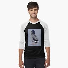 Mallard drake duck" Art Board Print for Sale by artbykarieann